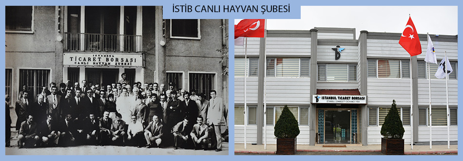 tarihce istanbul ticaret borsasi